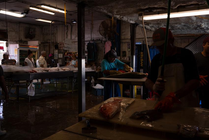 Employees at Katie’s Seafood Market cut and prepare freshly caught fish as customers wait in line in Galveston on July 17, 2023.