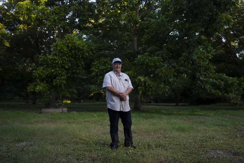 Troy Swift, owner of Swift River Pecans and president of the Texas Pecan Board, walks among his award-winning pecan trees at one of his farms in Lockhart on Aug. 3, 2023. Swift started using bat boxes on his farms in 2021 in an effort to reduce pesticide usage.