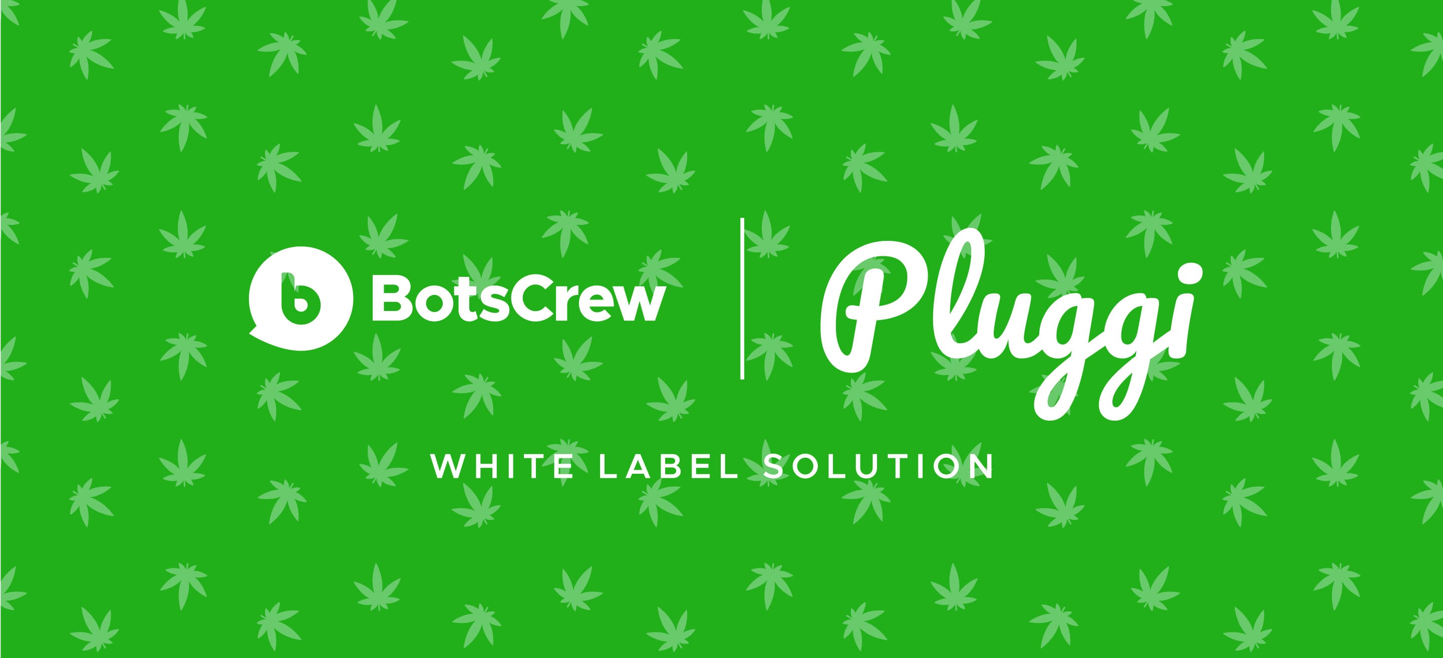 Pluggi White-Label Case Study