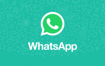 WhatsApp Chatbot: The Complete Guide for 2024